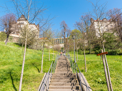 Terrassengärten Pirna Steintreppe führt durch grüne Wiese zu einem Schloss, umgeben von kahlen Bäumen; ein Schild weist zum Biergarten.