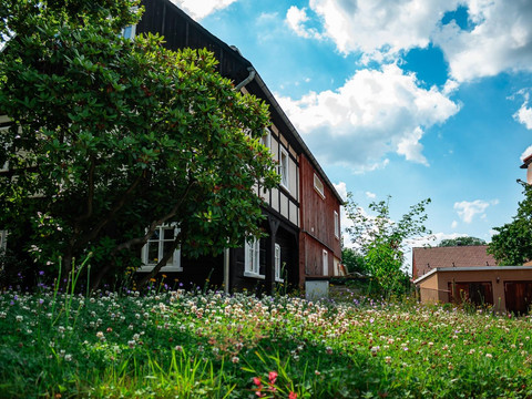 Blumenwiese an der Rückseite des Feirenhauses