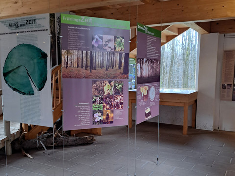 Ausstellung mit hängenden Tafeln über Jahreszeiten im Wald, mit Texten und Bildern von Bäumen und Pflanzen, in einem Raum mit Holzdecke und großen Fenstern.