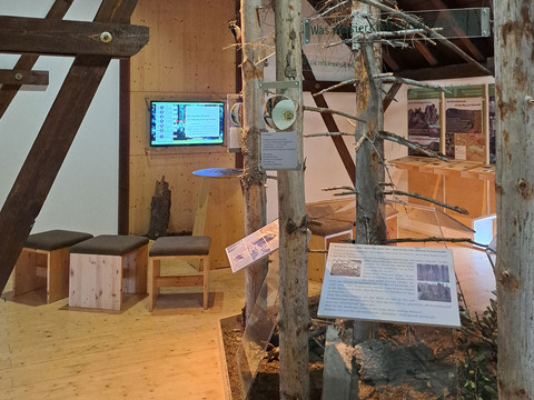Ausstellungsraum mit Holzmöbeln, Infotafeln und Baumstämmen; ein Bildschirm zeigt Informationen. Die Atmosphäre ist lehrreich und naturverbunden.