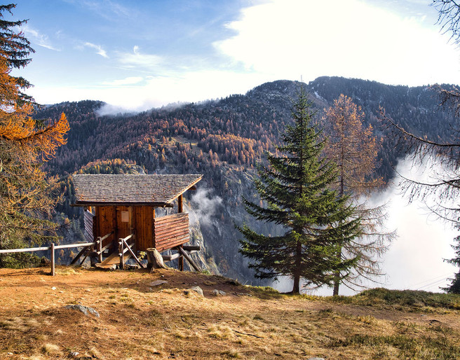 _A300295.jpeg Wildbeobachtungsposten