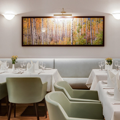 Restaurant Restaurant des Dorint Parkhotel MeißenRestaurant at the Dorint Parkhotel Meissen