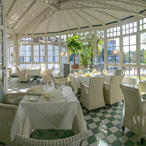 Wintergarten Wintergarten des Dorint Parkhotel MeißenWinter garden of the Dorint Parkhotel MeissenZimní zahrada Dorint Parkhotelu MeißenOgród zimowy w hotelu Dorint Parkhotel MeißenWintertuin van het Dorint Parkhotel MeißenGiardino d'inverno del Dorint Parkhotel Meißen