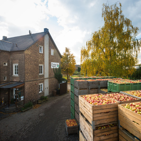 Bio-Obsthof Nachtwey-2013-123.jpg