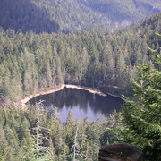 Schurmsee nah Querformat