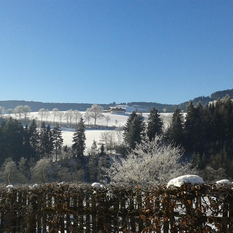 Winterausblick Haus Murgtalblick