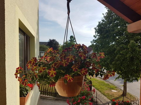 Hauseingang
