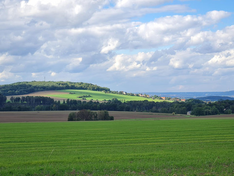 Blick zum Cottaer Spitzberg