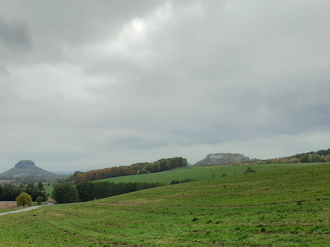 Blick zur Festung Königstein