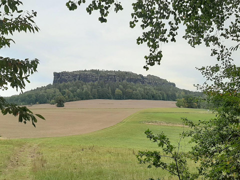 Blick zum Pfaffenstein