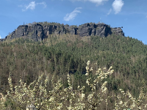 Blick zum Lilienstein