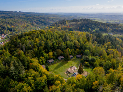 Harzverbunden Waldquartier - Bad Grund