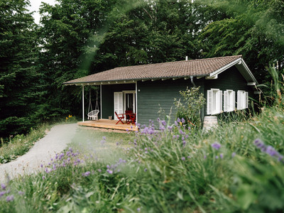 Harzverbunden Waldquartier - Bad Grund - Hausansicht