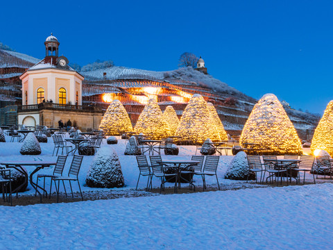 Zamek Wackerbarth.jpg Wein & Licht auf Schloss WackerbarthWine & Light at Wackerbarth CastleVíno a světlo na zámku WackerbarthWino i światło w zamku WackerbarthWijn & Licht op Kasteel WackerbarthVino e luce al Castello di Wackerbarth
