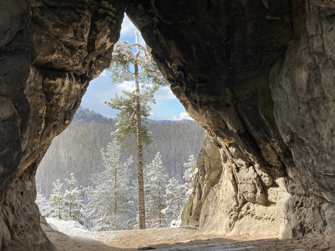 Blick aus der Kleinsteinhöhle auf eine verschneite Waldlandschaft mit blauem Himmel und einer hohen Kiefer im Vordergrund.