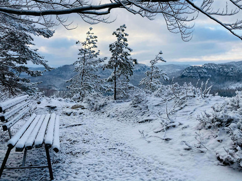 Großstein Bank im Winter Verschneite Landschaft mit einer Bank im Vordergrund, umgeben von schneebedeckten Bäumen und einem bewölkten Himmel im Hintergrund.
