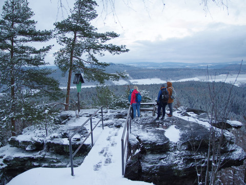 Uitzicht vanaf de Signalstein Drei Personen in Winterkleidung stehen auf einem verschneiten Felsvorsprung mit Blick auf eine bewaldete, schneebedeckte Landschaft.