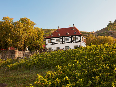 Weingut Hoflößnitz