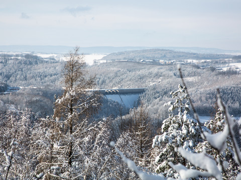 Winterliche Landschaft mit schneebedeckten Bäumen und Blick auf eine Talsperre in der Ferne.
