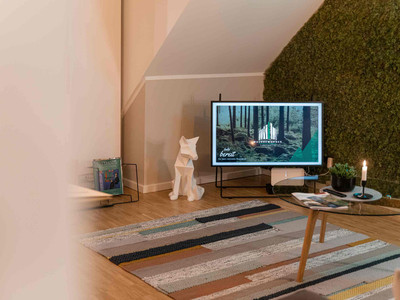 Waldbewohner Apartments in Ilsenburg - Wohnzimmerdetails