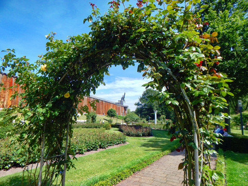 Rosenbogen in einem gepflegten Garten mit sattem Grün und blauem Himmel im Hintergrund.Rose arch in a well-tended garden with lush greenery and a blue sky in the background.Rosenbue i en velplejet have med frodigt grønt og en blå himmel i baggrunden.Rozenboog in een goed onderhouden tuin met weelderig groen en een blauwe lucht op de achtergrond.