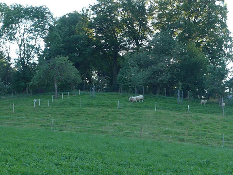 Rodelhang und Spielwiese zugleich