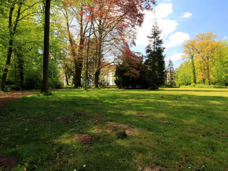 Blick in den Schlosspark Wehrden