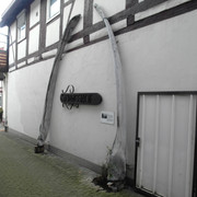 Walkiefer im Steinweg Walkiefer an einer Wand in einer Seitenstraße der Gifhorner Innenstadt