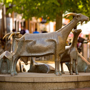 Ziegenplastik in der Gifhorner Altstadt Blick auf die Ziegenplastik in der Gifhorner Altstadt