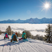 niederhorn-schlitteln-gruppe-winter-nebelmeer-winteraktivitaeten