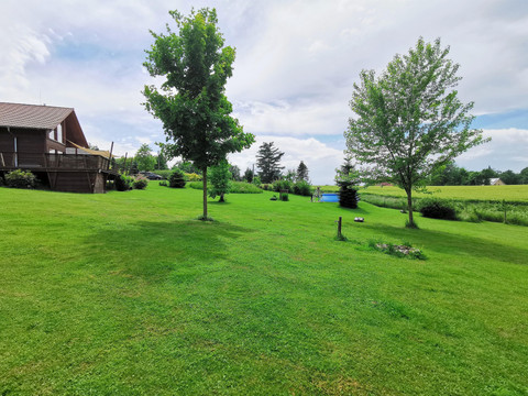 große Spielwiese und Lagerfeuerstelle