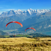 swiss-paragliding-berge-panorama-sommer