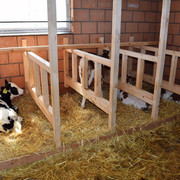 beatenberg-stallvisite-bauernhof-kuehe-sommer