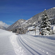 naturpark-diemtigtal-winter-langlauf-loipe-grimmialp
