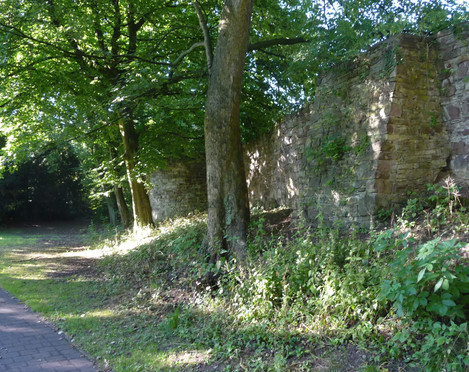 stadmauer-stephanberg Stadtmauer mit Bewuchs und angrenzendem Baumbestand