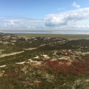 Blick auf den Königshafen