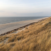 Weststrand im Frühling