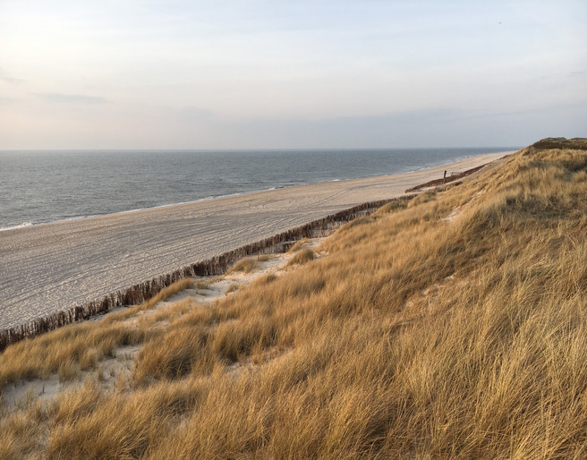 Weststrand im Frühling