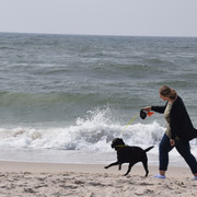 Spaß haben am Strand