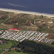 Wald am Campingplatz