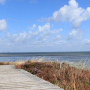 Holzweg in der Braderuper Heide