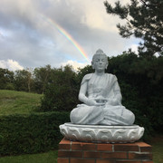 Ein Buddha in Kampen