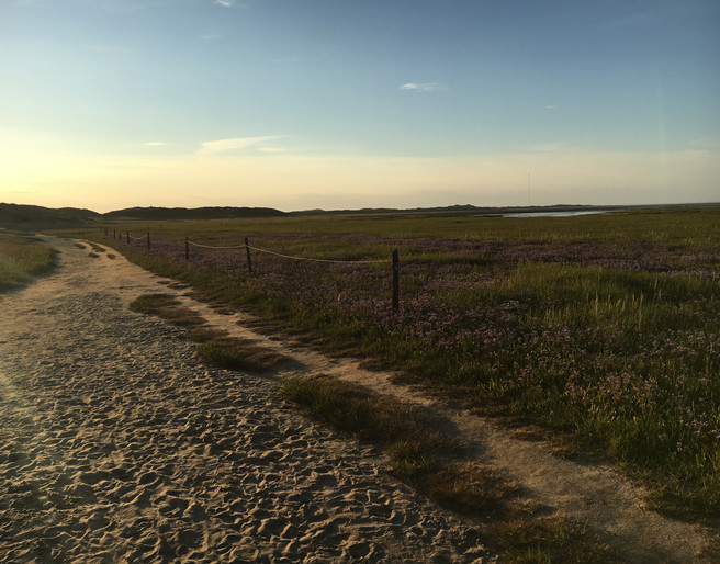 Weg an der Hörnumer Nehrung im Sonennuntergang