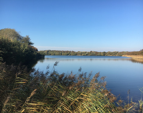 Nössekuhle im Morsum