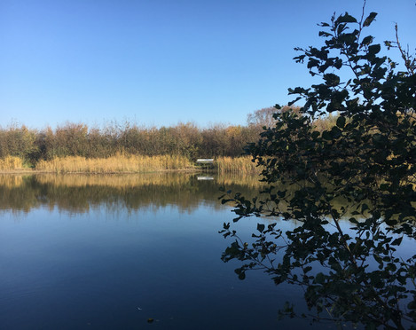 Nössekuhle im Morsum