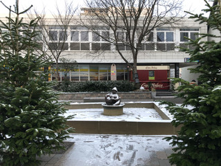 Die Wilhelmine im Schnee