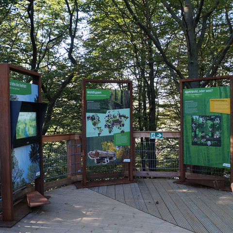 Infotafeln Natur Herbstlicher Aussichtspunkt im Wald mit Informationstafeln, die Natur- und Artenschutzthemen darstellen.