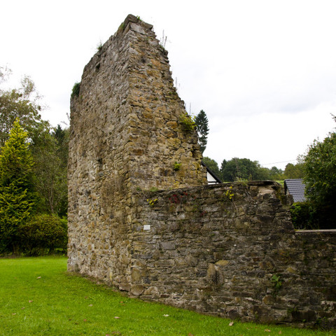 Burgruine Herrenbröl Eine alte, moosbewachsene Steinruine inmitten eines grünen Rasens, umgeben von Bäumen.