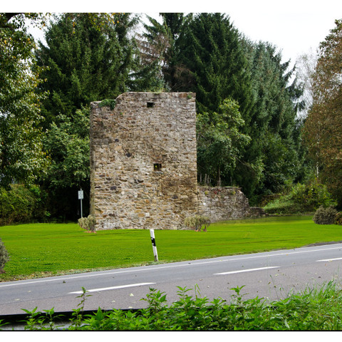 Burgruine Herrenbröl Alter Steinturm an einer Landstraße, umgeben von grüner Wiese und hohen Bäumen.