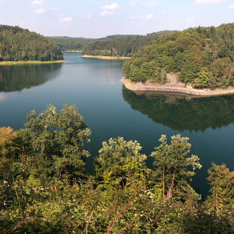 Wahnbachtalsperre Theißtal-Waldsee in Neunkirchen-Seelscheid umgeben von bewaldeten Hügeln und klarem, ruhigem Wasser.